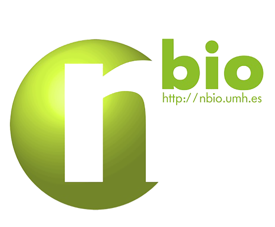 instituto neurobioingenieria UMH